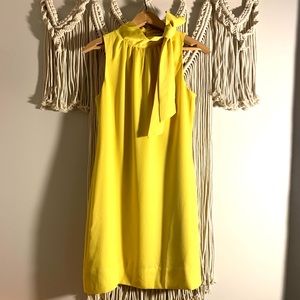 Ann Taylor Factory Petite Dress NWT